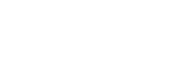 Next Level Partners